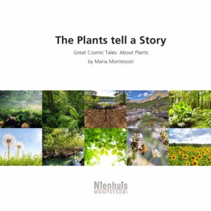 Story of the plants