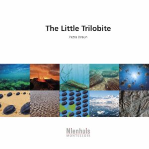 The little trilobite