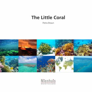 The little coral 