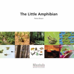 The little amphibian