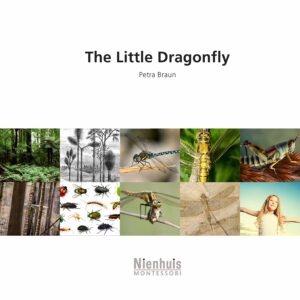 The little dragonfly