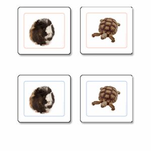 Pets Matching Cards