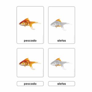 Partes del Pescado