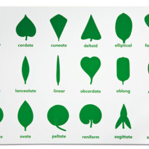 Botany Cabinet Control Chart