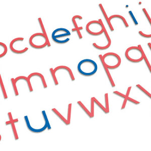Wooden Movable Alphabet: International Print