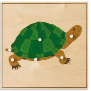Animal Puzzle: Turtle