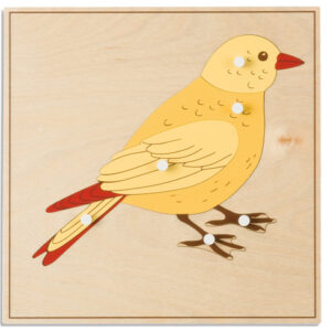 Animal Puzzle: Bird