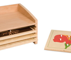 Botany Puzzle Cabinet: Four Compartments