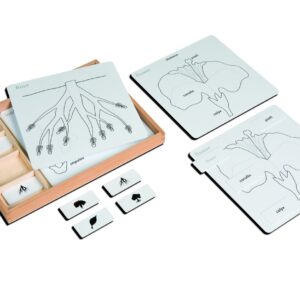 Botany Puzzle Activity Set