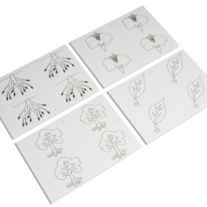 Botany Puzzle: Copy Masters