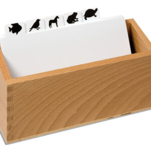 Animal Puzzle: Copy Masters Box