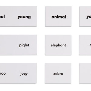 Animals And Their Young