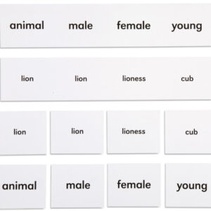Animal Names