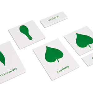 Botany Cabinet: Nomenclature Cards